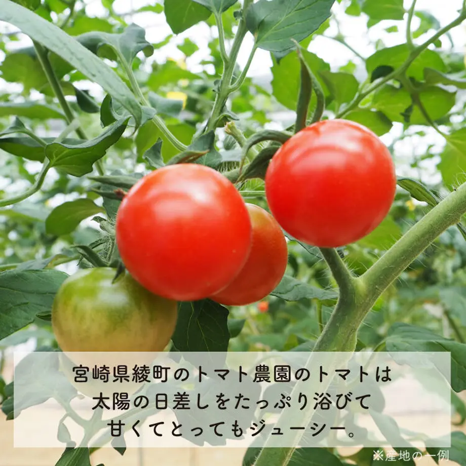 61036471e50c0b1efd54dbb0