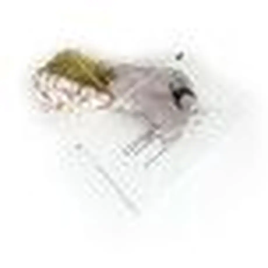 60ab3c897c42ee05eaa8d9be