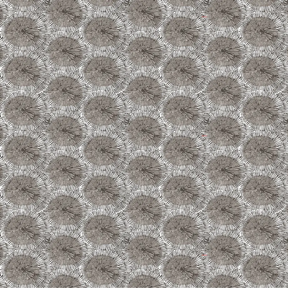 5ea0fc8934ef01080e07c8b8