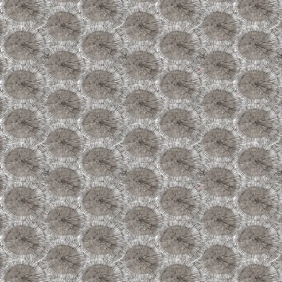 6197313d7e588f17ac4d9192