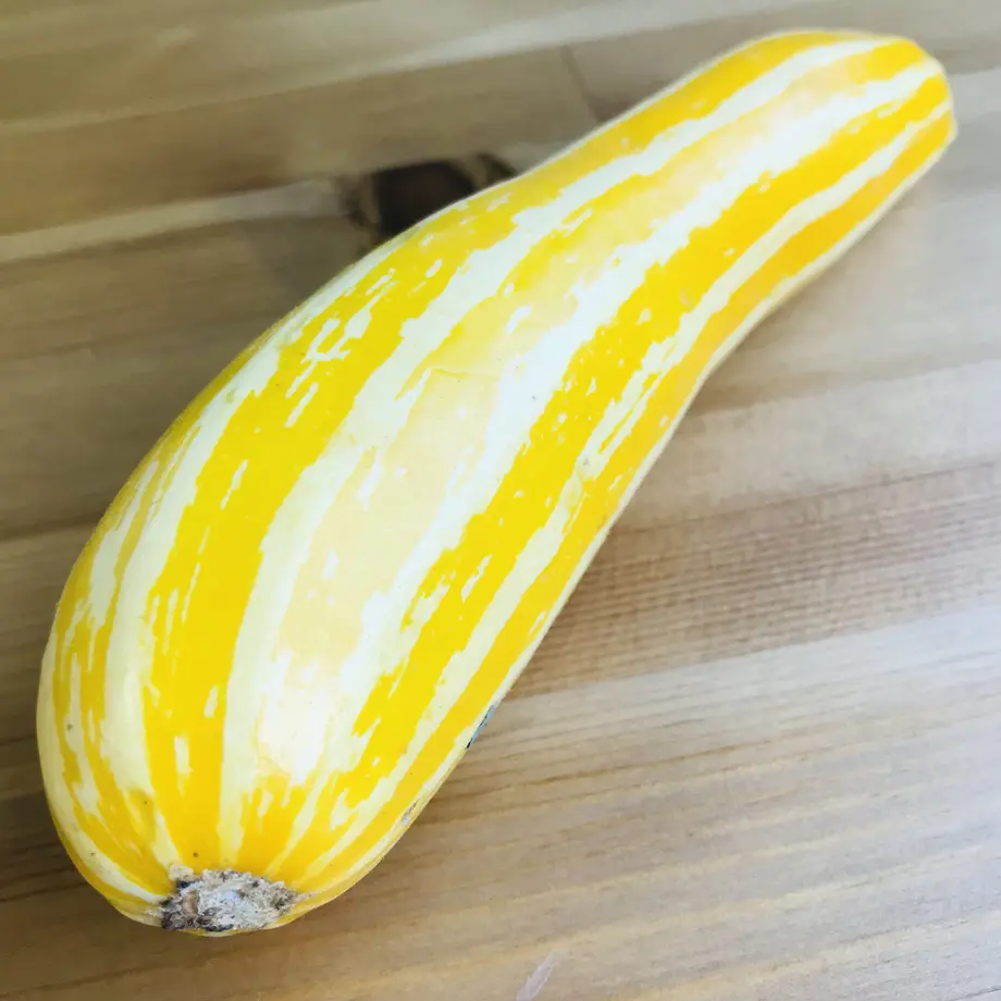 60c082e4d7e1d82aa61de886
