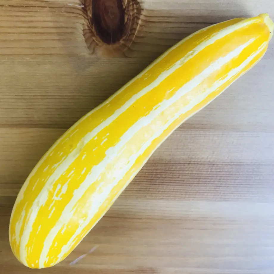 60c082e4d7e1d82aa61de886