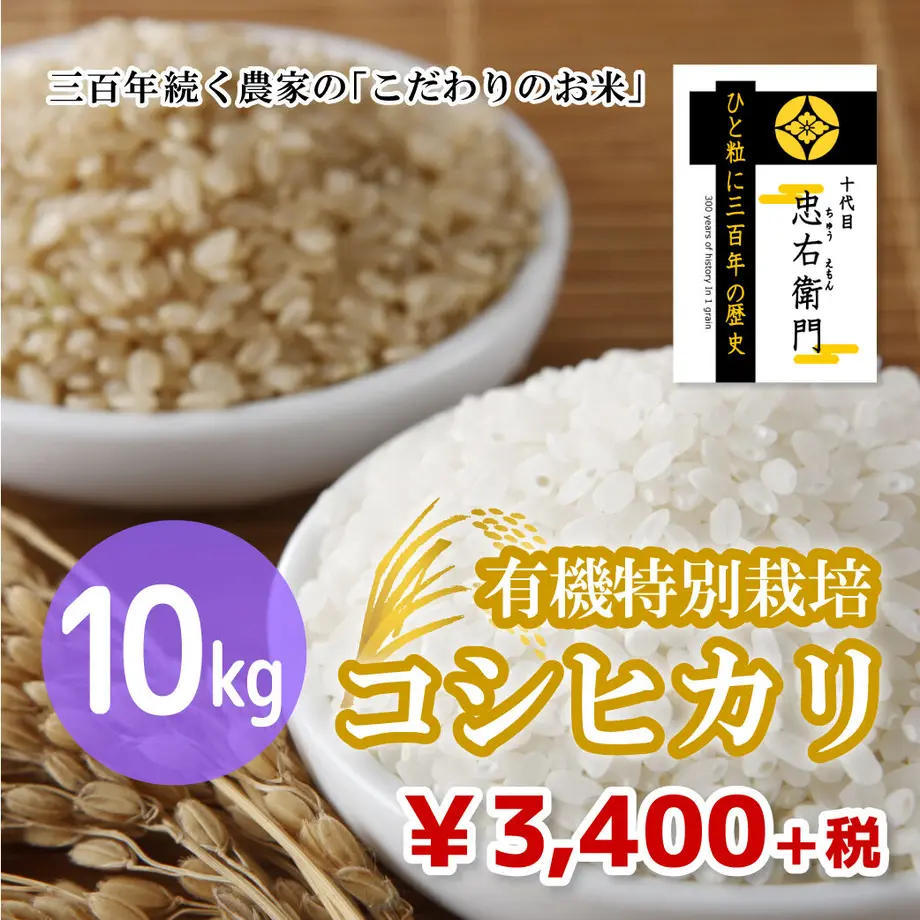 5fc253dddf51597cf7d20273