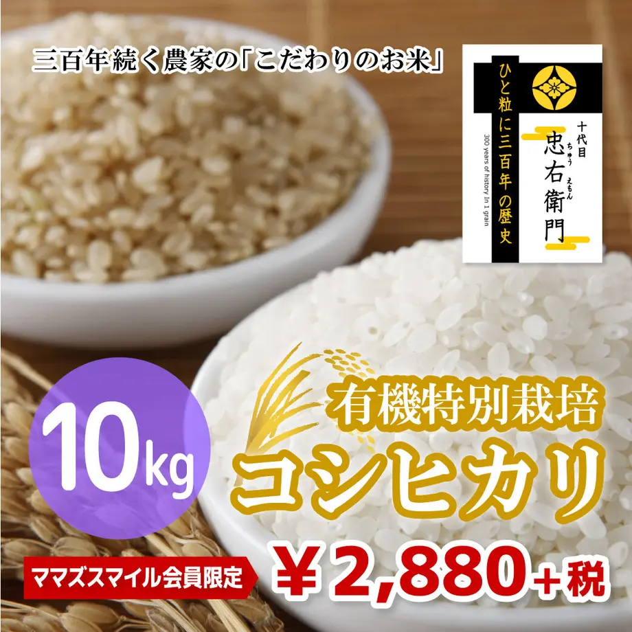 5fc2400c72eb4651b07507d3