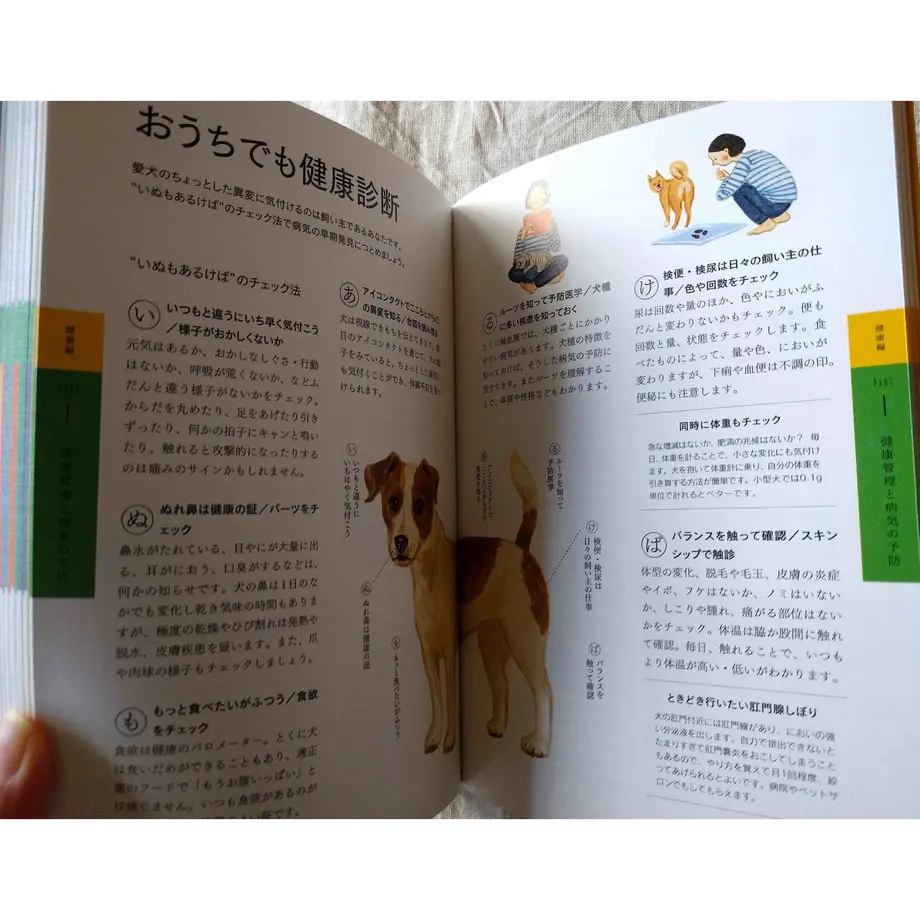 5e3400bac78a5367286027a4