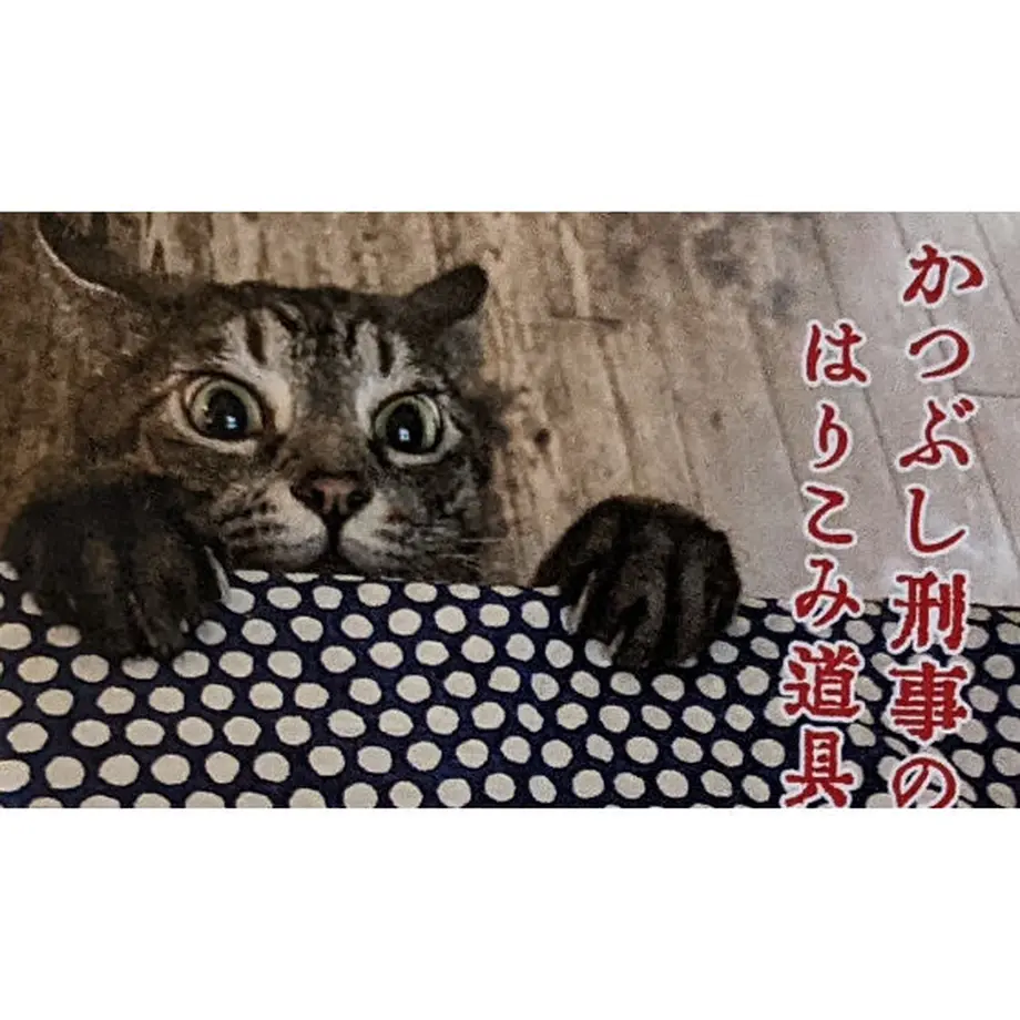 63afc8ab6a2a0a7f7544f0d0