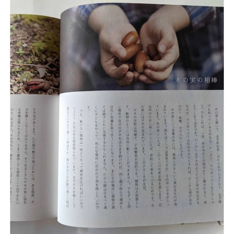 610e24f4f604a96f723a6019