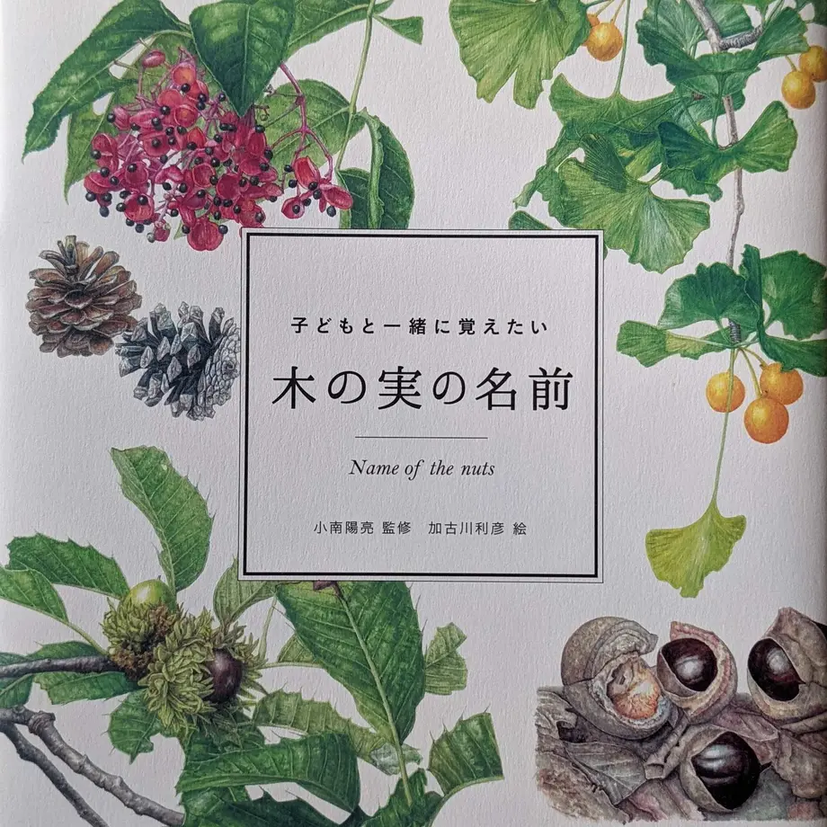 610e24f4f604a96f723a6019