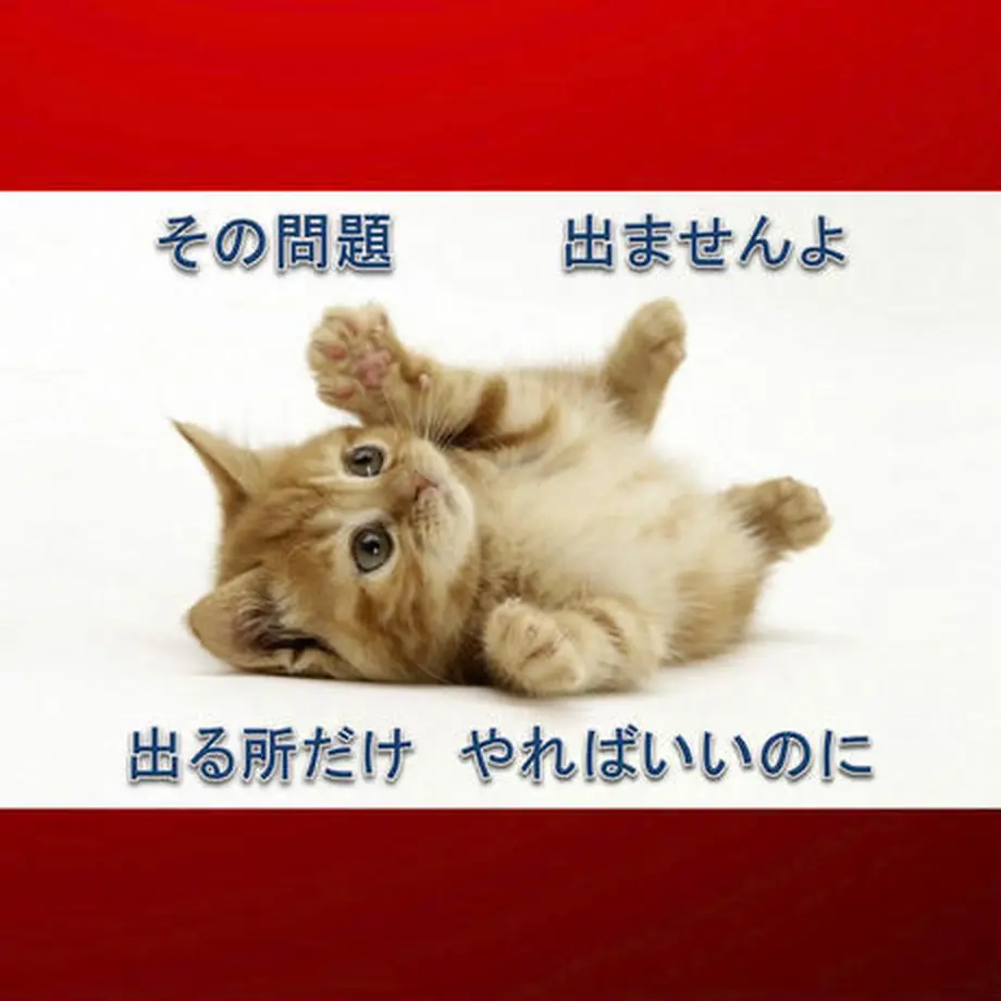 5d2f23072e89b726ae96da91