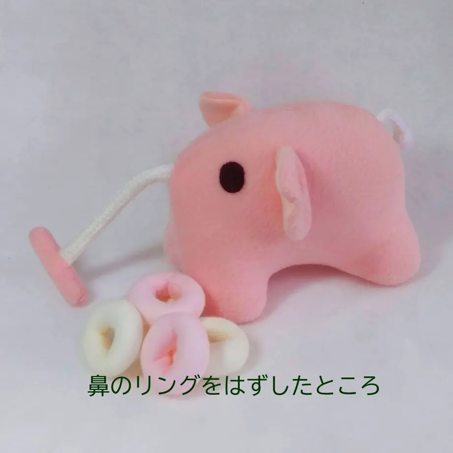 5ff7fd76df5159457b0f1767