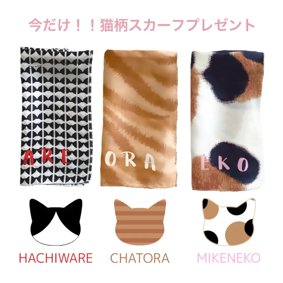 62c7eb49b5285a2805a6b609