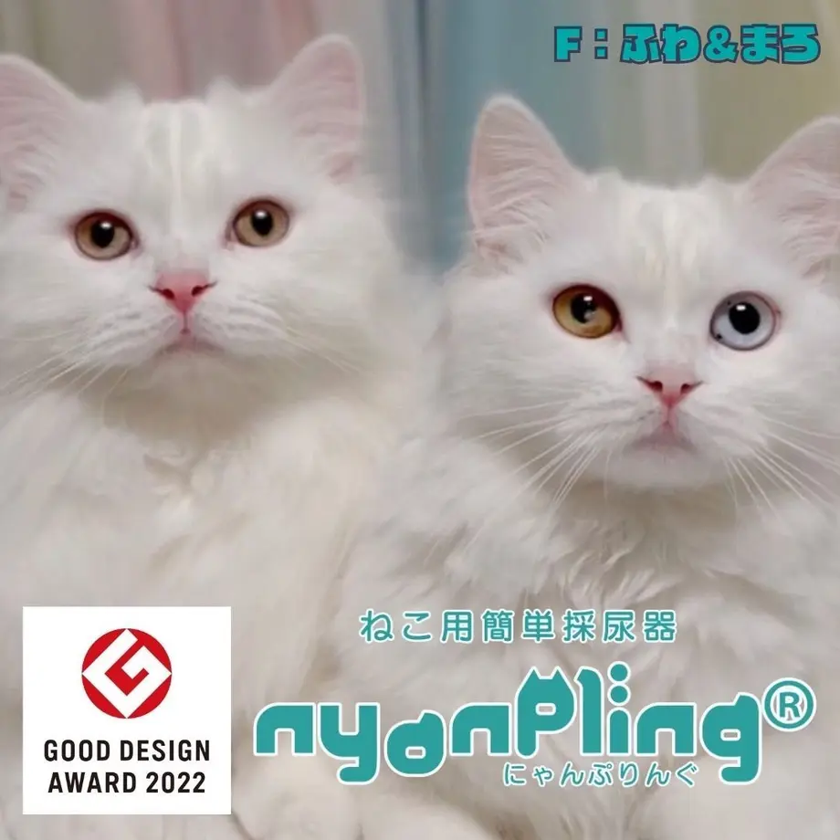 63623a254aed19779cf34b52