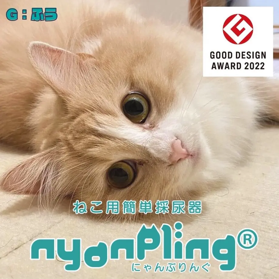 63623a254aed19779cf34b52