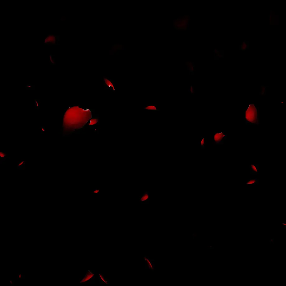 5f17a8c1223ead58d61e52e5