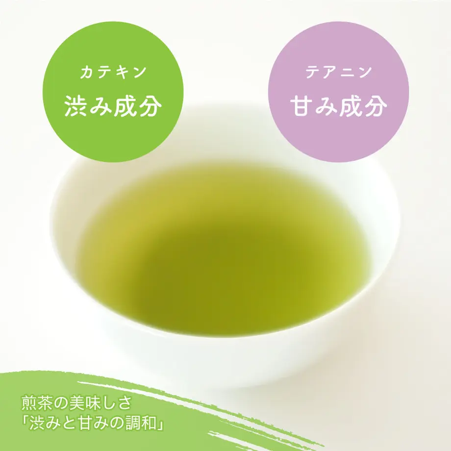 5fc348f472eb460b437508d7