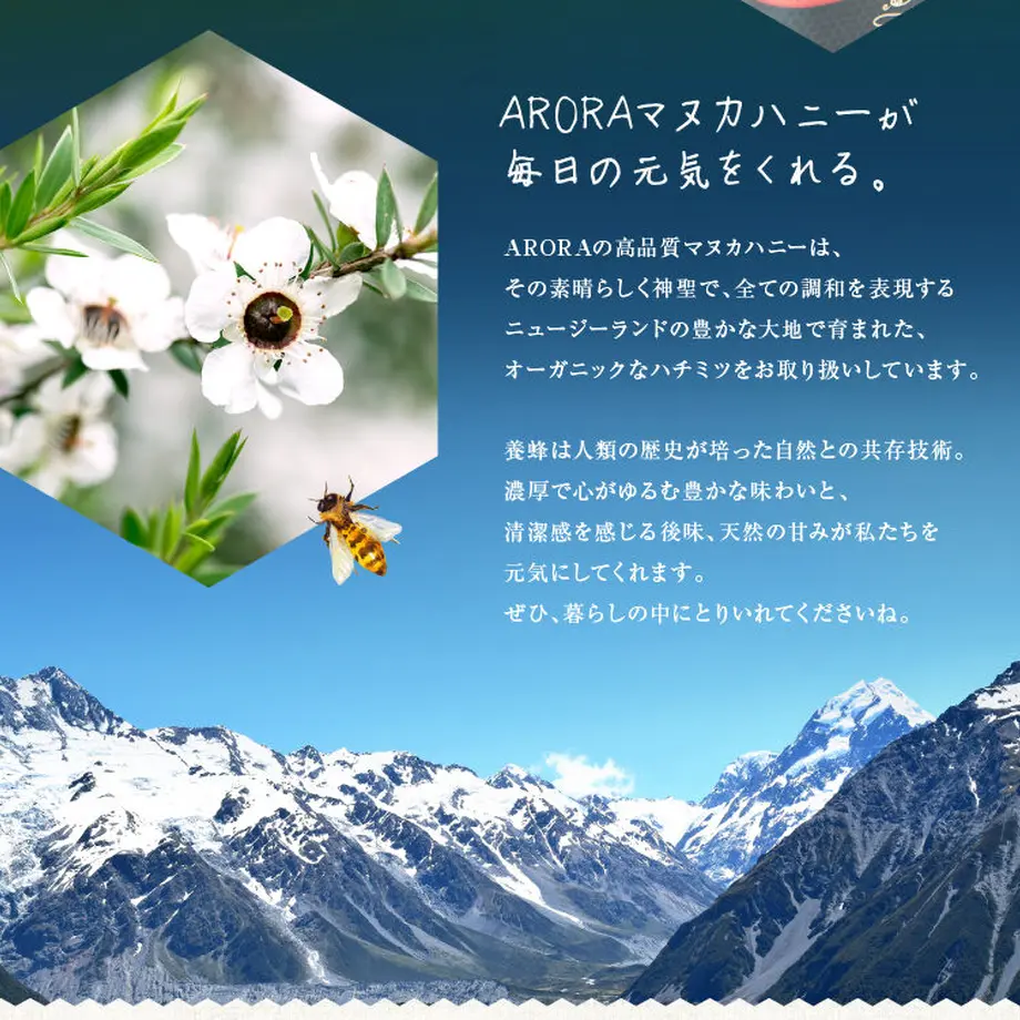 5f6ef2883ae0f440e63bf8a5