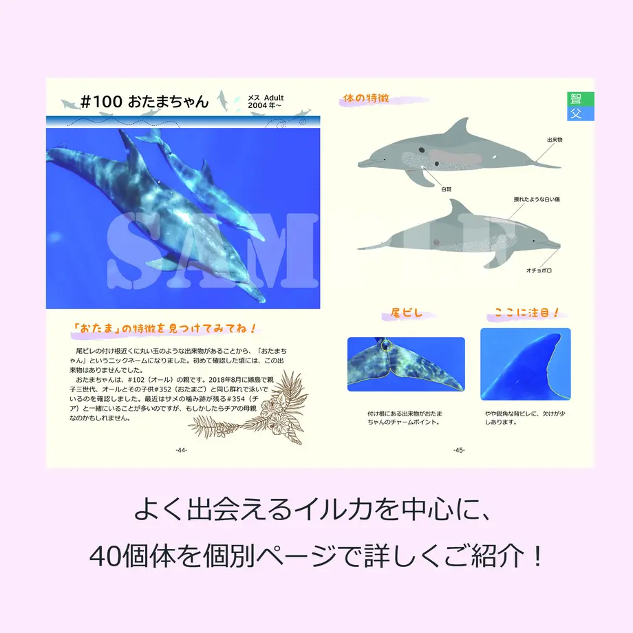60592c9bd5e9c90ee899b56d