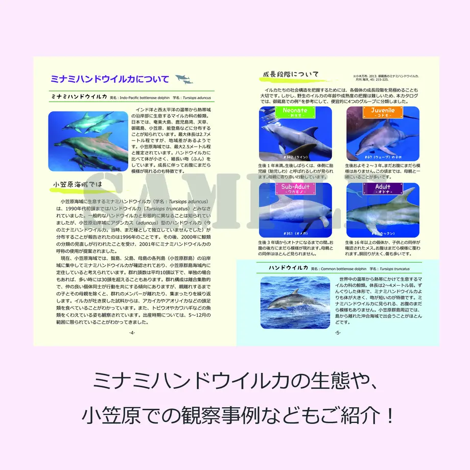 60592c9bd5e9c90ee899b56d