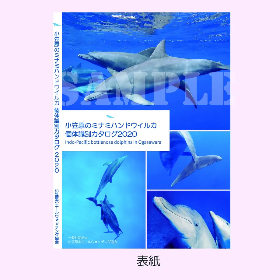 60592c9bd5e9c90ee899b56d