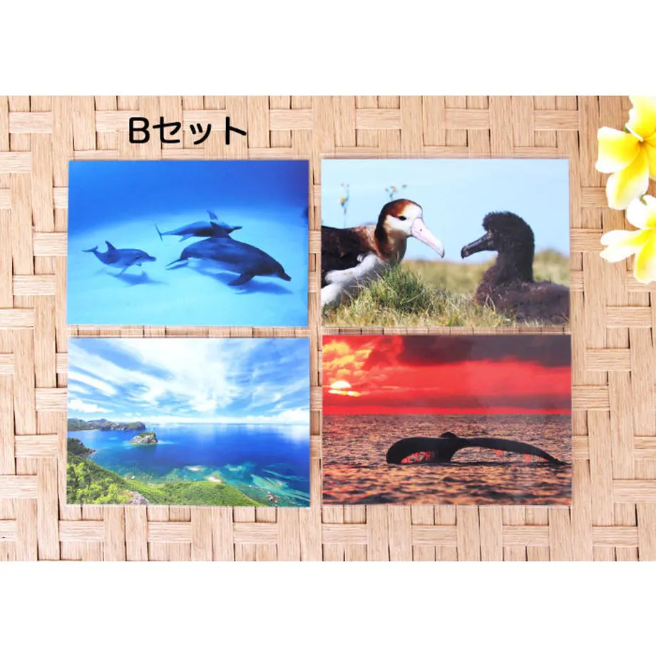5ef53fe70d5e386c21a41598