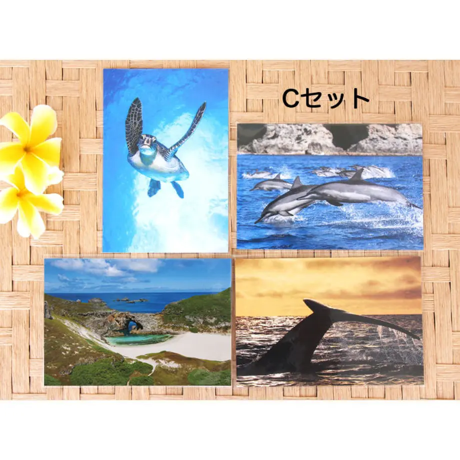 5ef53fe70d5e386c21a41598