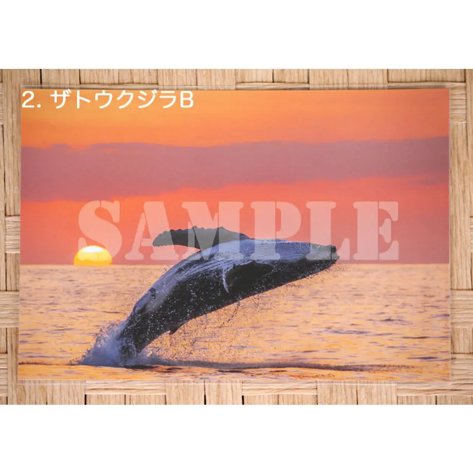 5ef41260561e17742ec6e978