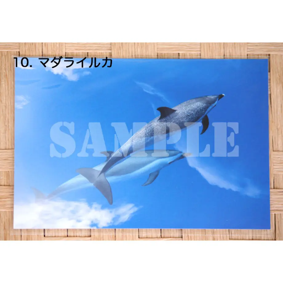 5ef41260561e17742ec6e978