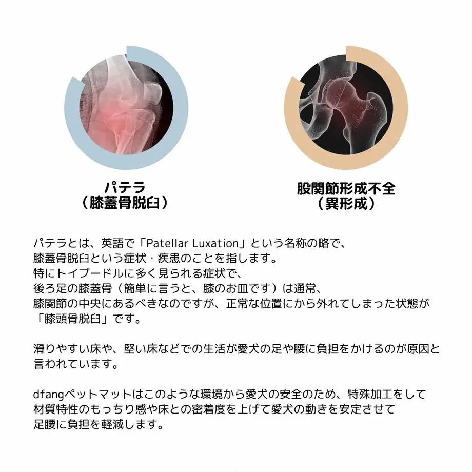 5fcc938bdf51593bfd8c7385