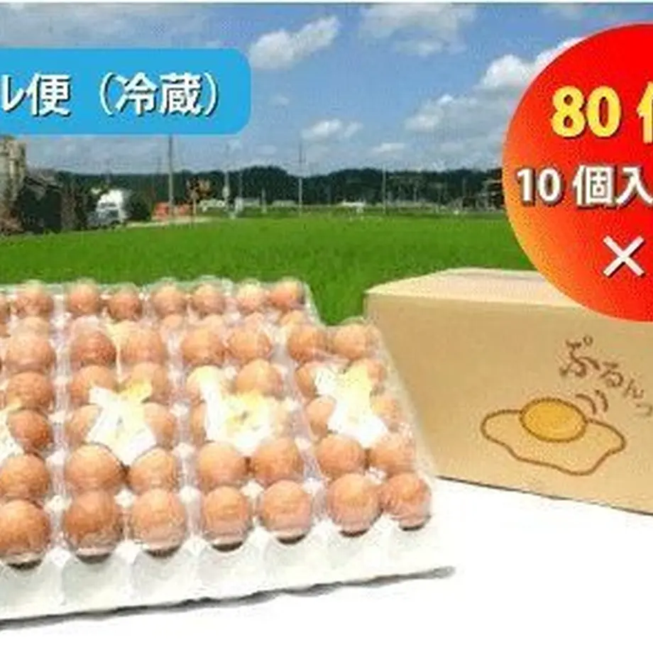 5e809a282a9a4271c08aefb8