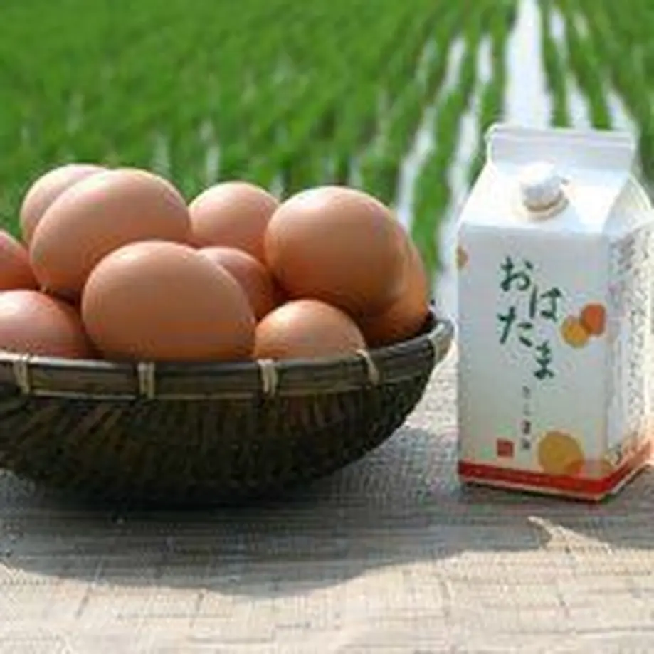 5e809a282a9a4271c08aefb8