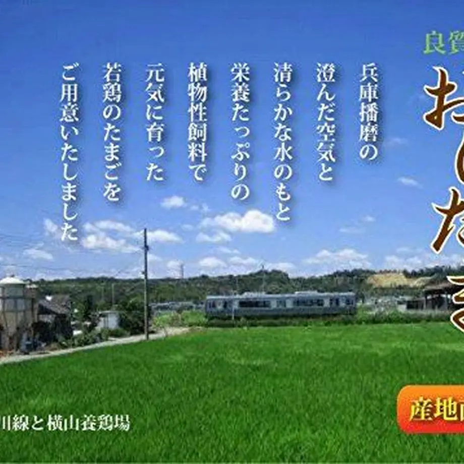 5e809a282a9a4271c08aefb8