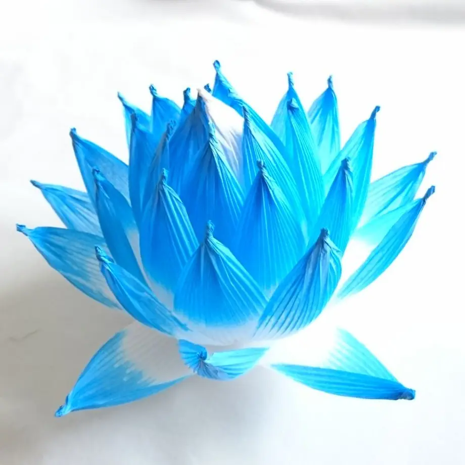 5f0c50dddf62a9634f0dd341