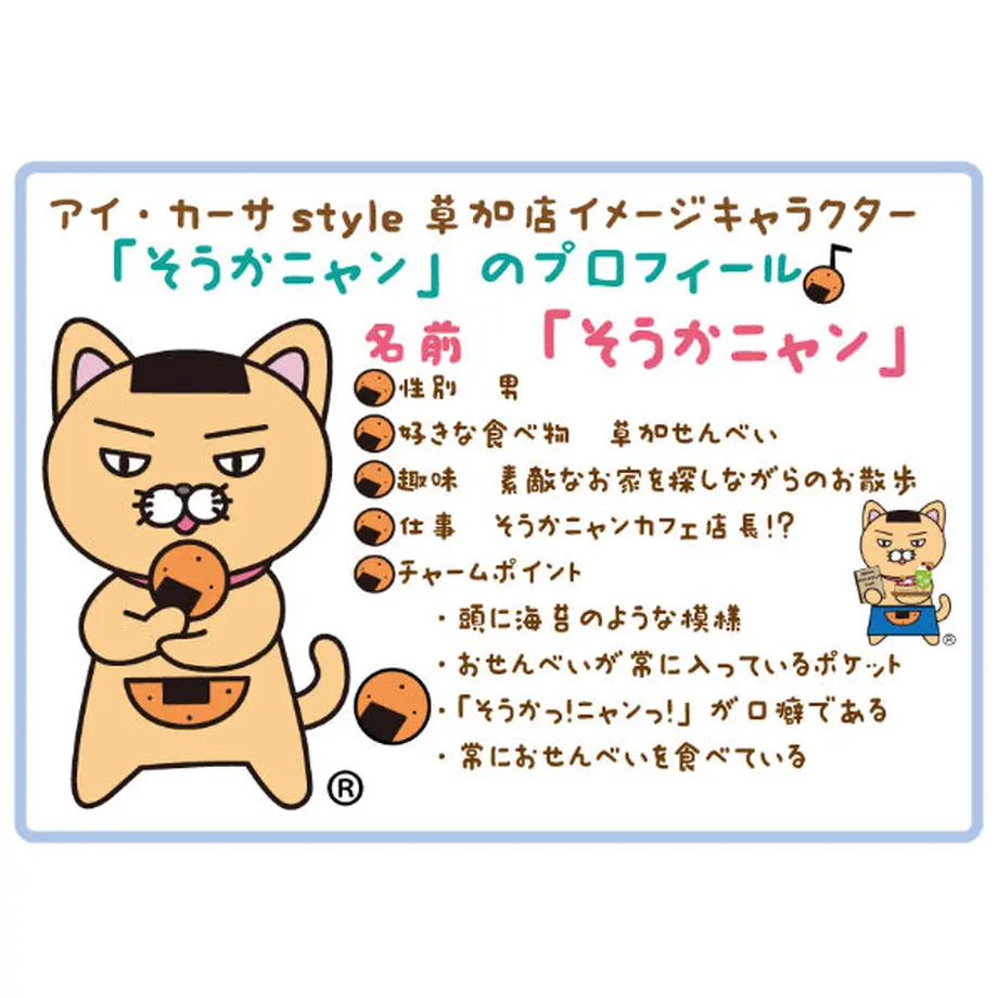 5ff6afc88a457271e9bcfcb5