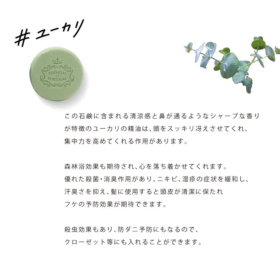 6257f8919fe3d753f3754d94