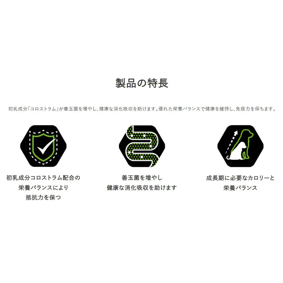 62ff2008a7e560644d304fb5