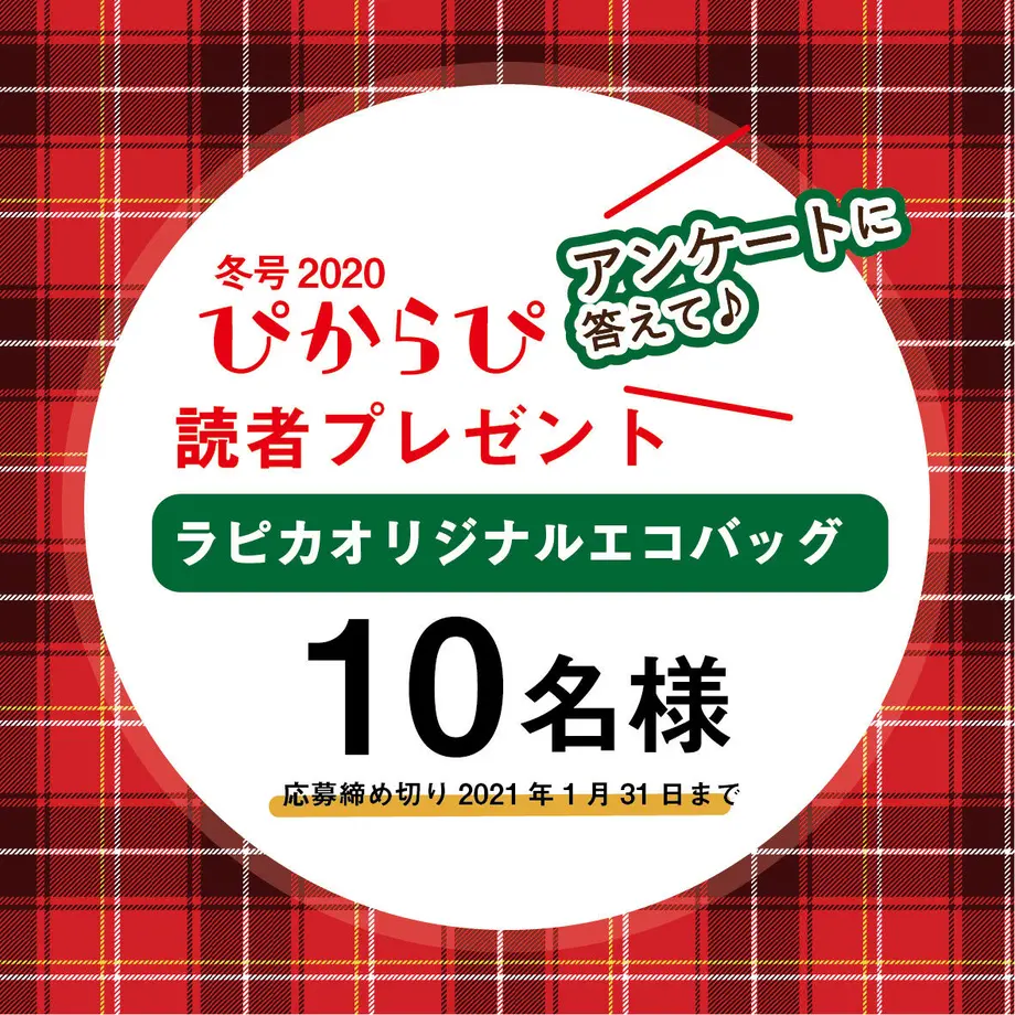 5fd1d80d72eb4619239d5219
