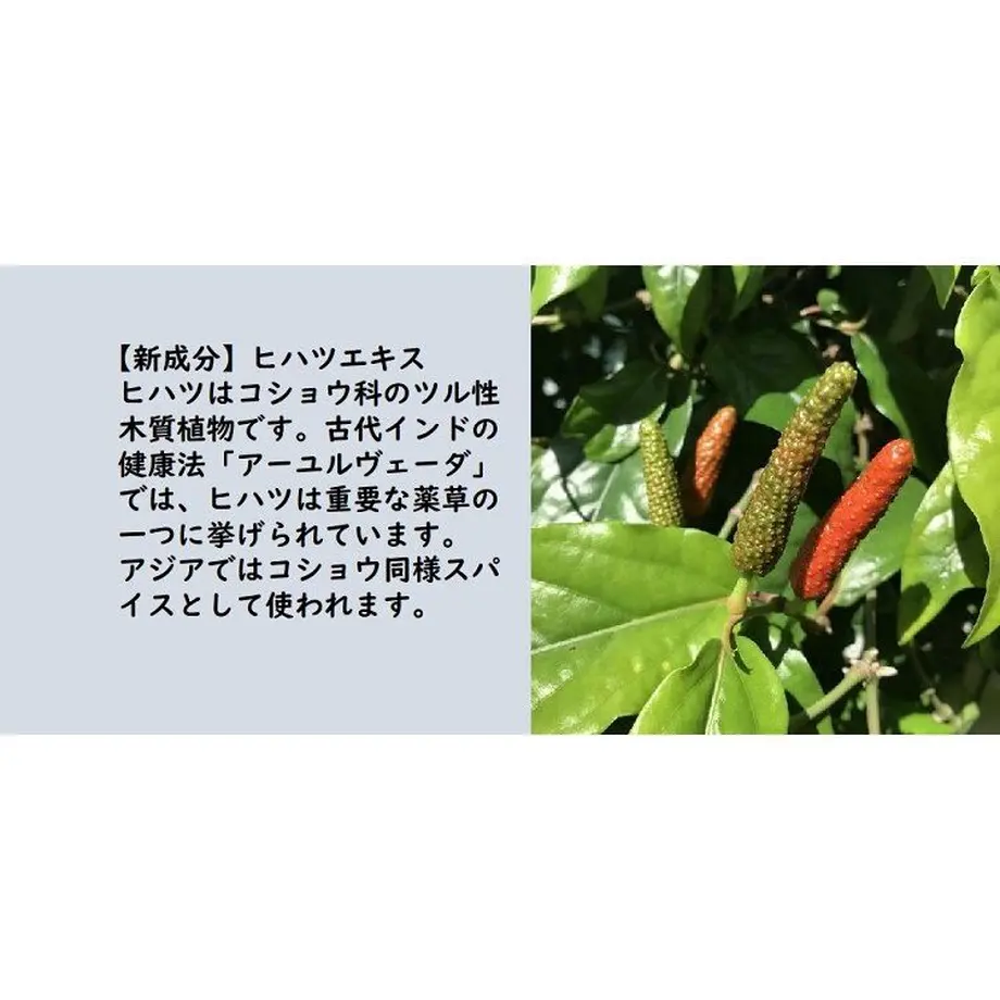5fbb7b47df51594f1425acce