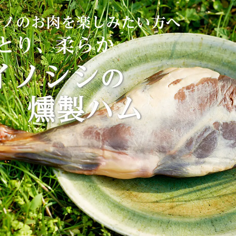 5e6071550dcb411353e043b6