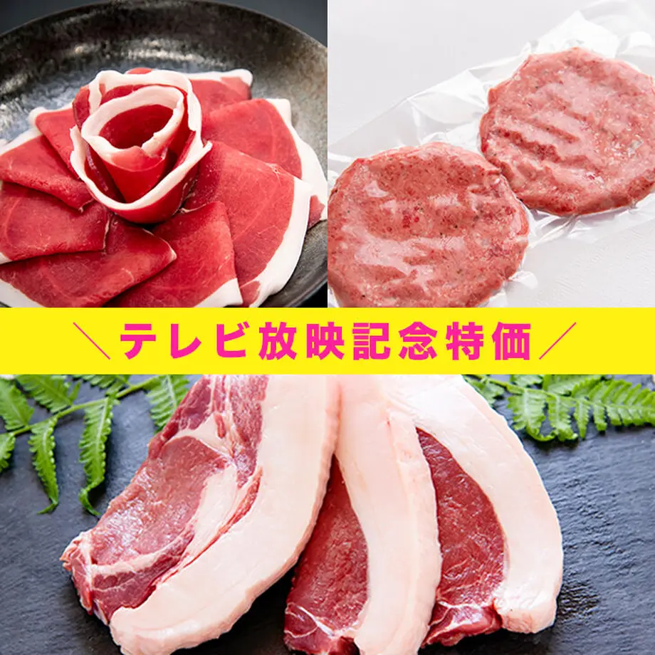 603dda323186252bcf9a3849