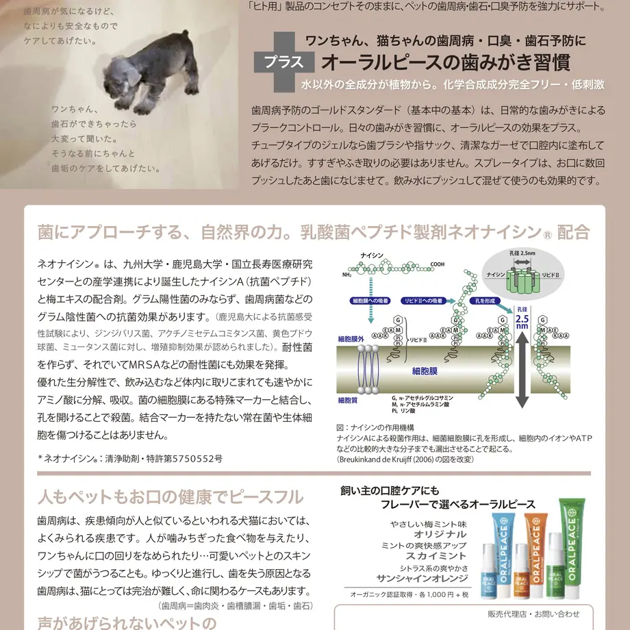59e04e17ed05e602a90015b4