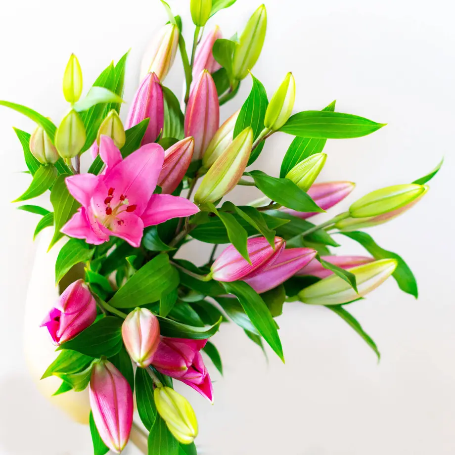 60adf8460e240374c1fda36c