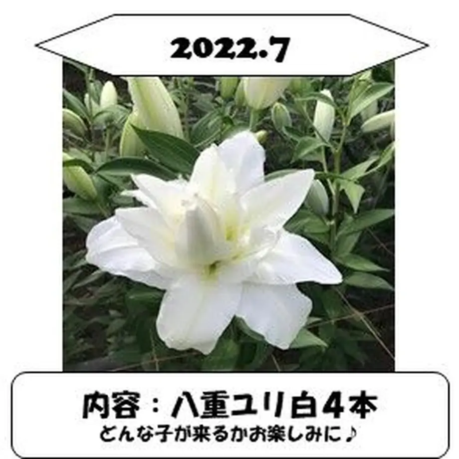 62b8f6f05c69871cd88a4938