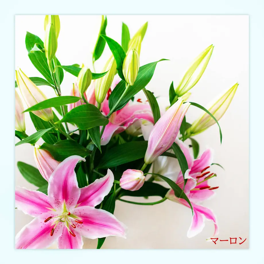 56d4538f3cd4823018001ac3