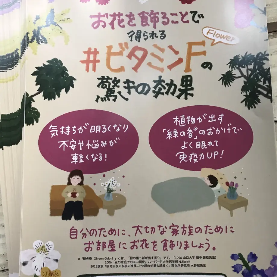 55f638e53cd4824a9900414c