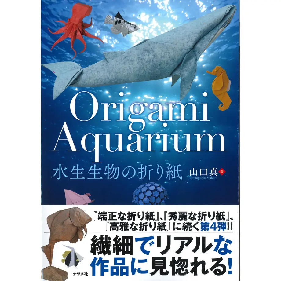 6233f6c923c2aa70c8e172ff