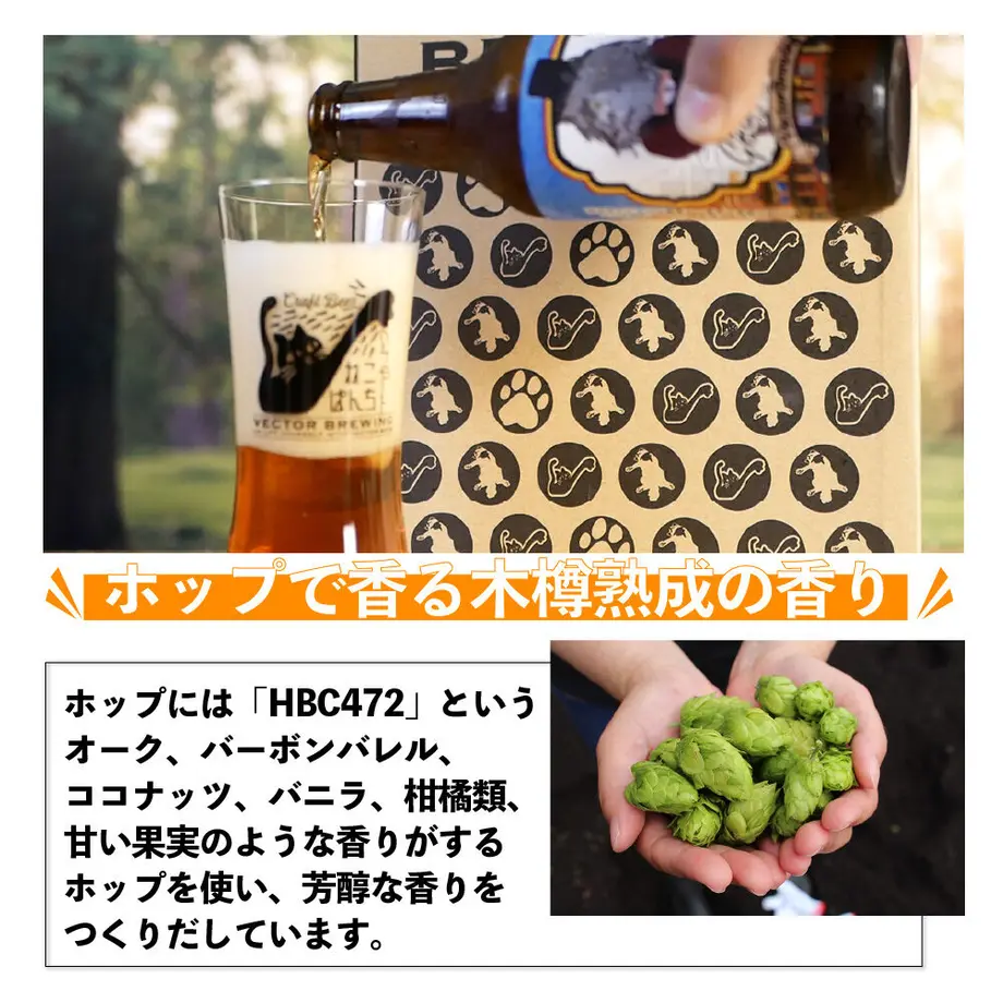 62b3ec5ff405a14e8688ae72