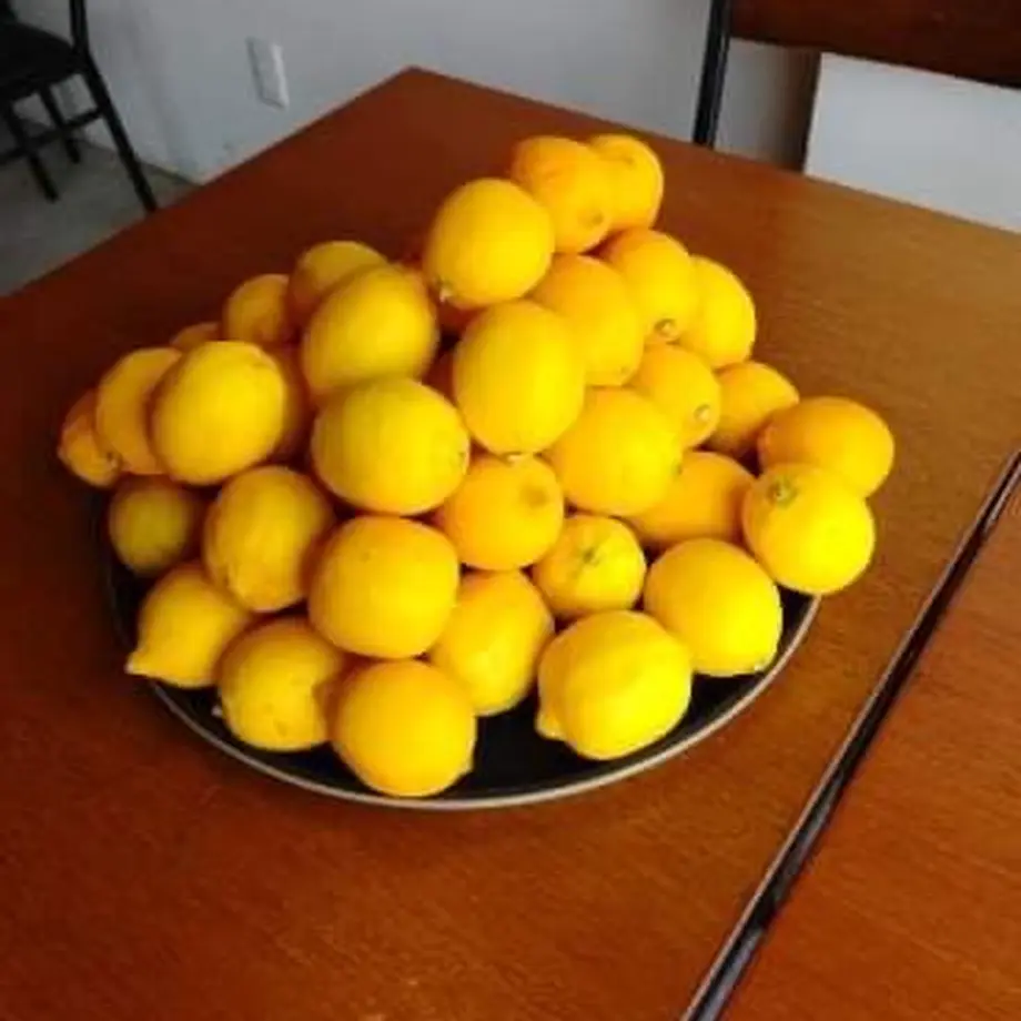 60af0f631945c755048f1b92