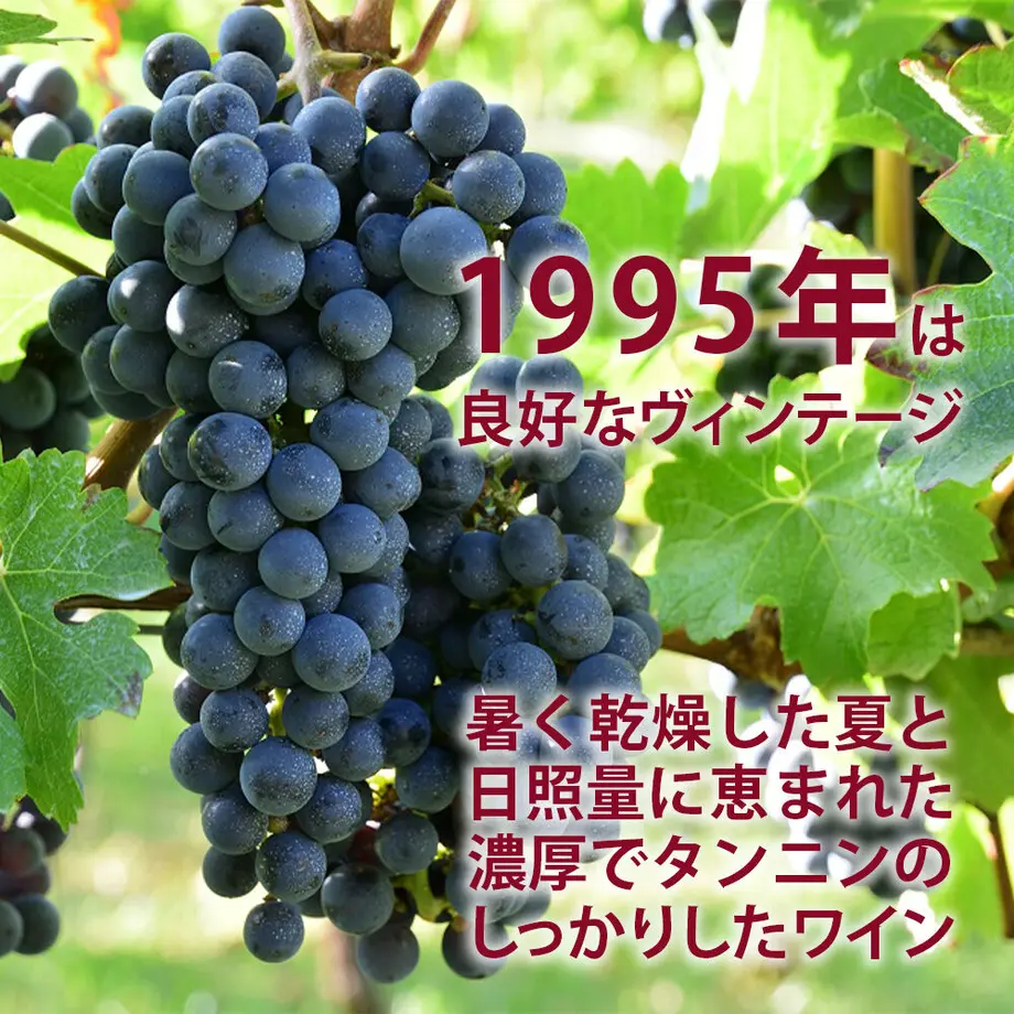 60d598872bf901284189a990