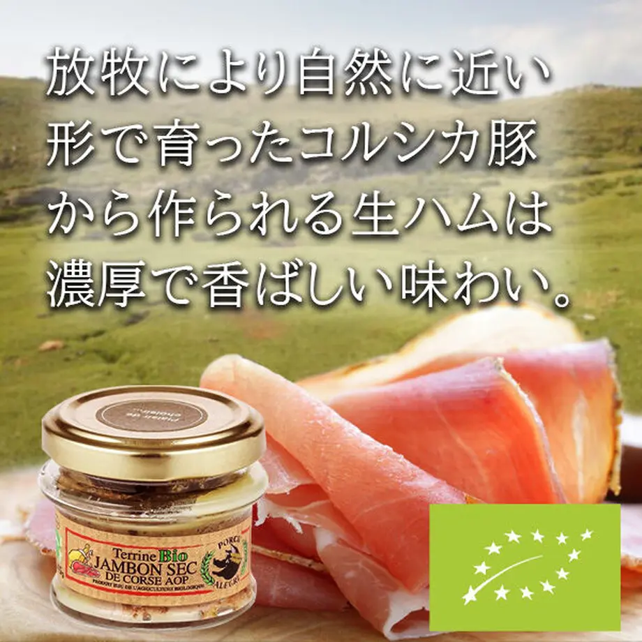 6088fe11f3c5e71838102842