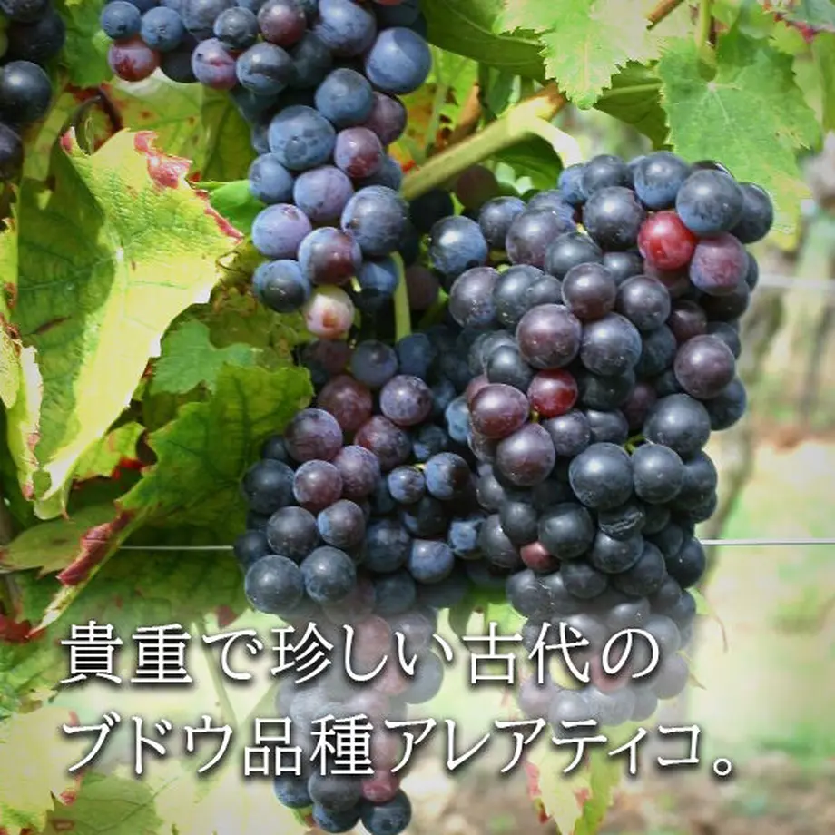 6088fe11f3c5e71838102842